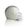 Ohio State Helmet