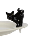 Scaredy Cat A419