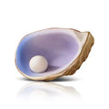 A435 Shuck Yeah! (Oyster Shell)