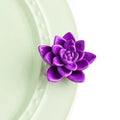 Get Growing Purple Lotus Mini