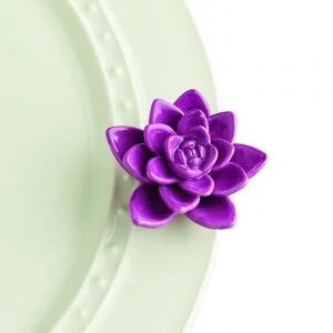 Get Growing Purple Lotus Mini