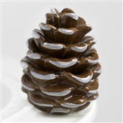 A110 Pretty Pinecone (Pinecone)