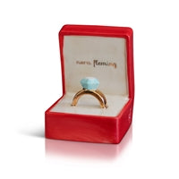 A296 Put a Ring on It (Diamond Ring)