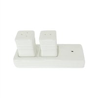 Salt & Pepper Shaker Set