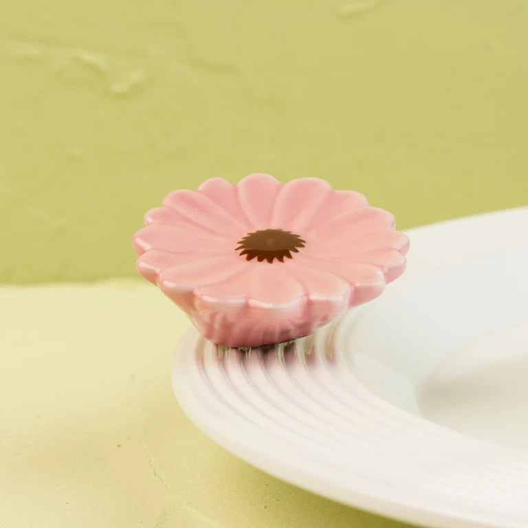 A41 Flower Power (Gerber Daisy)